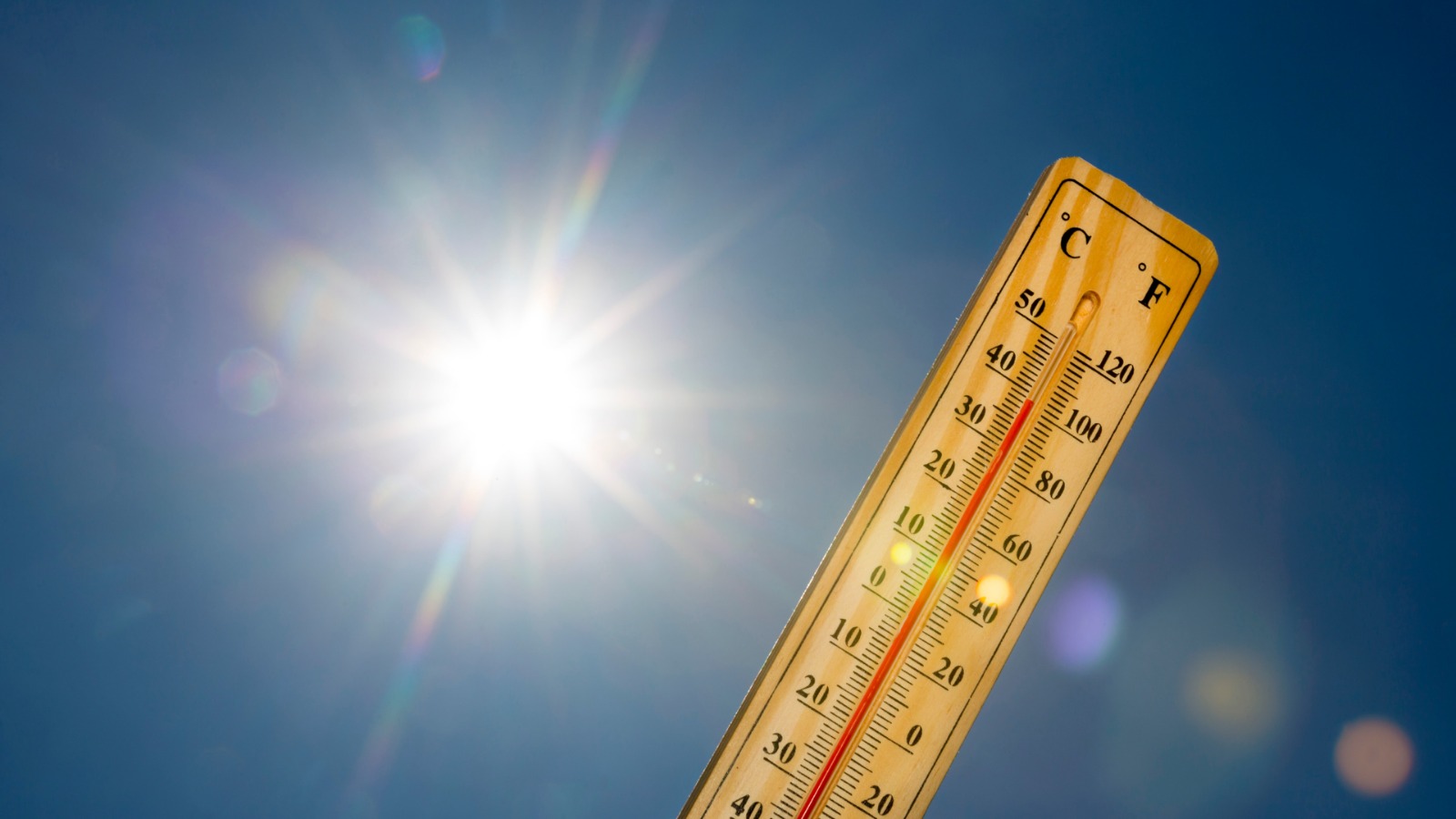 Warme tempraturen