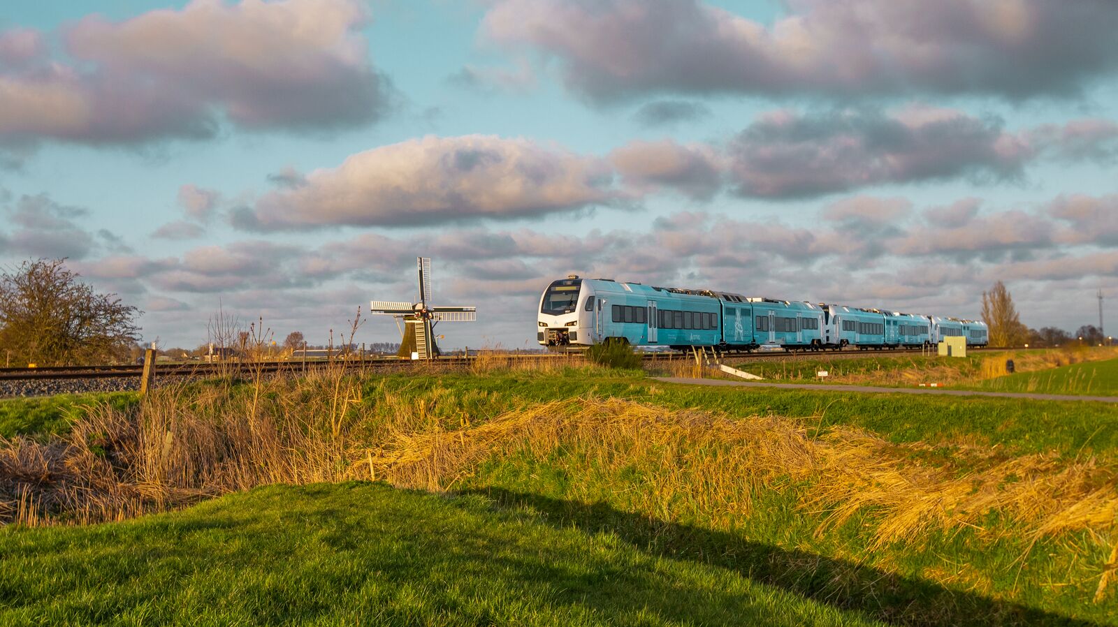 Een groenwitte dieseltrein van Arriva rijdt door een vlak Nederlands landschap met een ouderwetse molen op de achtergrond.
