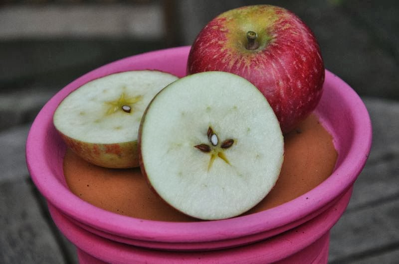 foto van een paar appels waarvan er een is doorgesneden