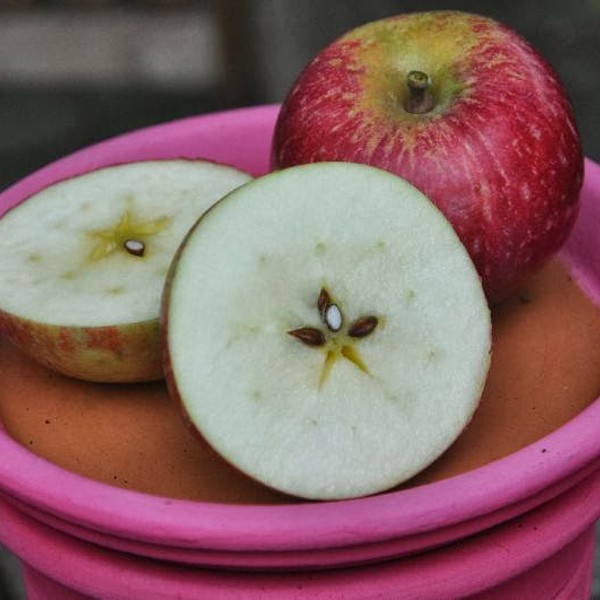 foto van een paar appels waarvan er een is doorgesneden foto van een paar appels waarvan er een is doorgesneden