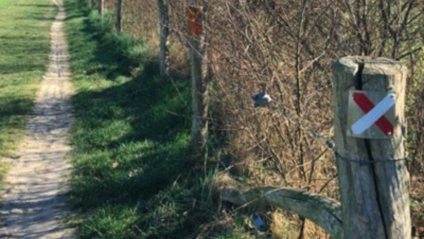 Een smal zandpaadje uitgesleten in het gras naast een heg zonder blaadjes op een winterdag. Een smal zandpaadje uitgesleten in het gras naast een heg zonder blaadjes op een winterdag.