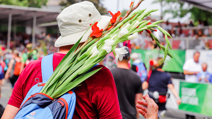 Witte en rode gladiolen steken uit blauwe rugzak van vrouw die meedoet aan de Nijmeegse Vierdaagse. Witte en rode gladiolen steken uit blauwe rugzak van vrouw die meedoet aan de Nijmeegse Vierdaagse.